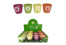 Citronella Kerze im Topf  4 Farben assortiert  Blumenmuster  Grösse 7x7x7cm