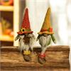 Deko Figur Herbst Wichtel  2er Assortierung  Kantenhocker  Mann und Frau