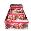 Guetzlidosen 3er Set  viereckig mit XMAS Motiv  Zuckerstange und Guetzli  Weissblech