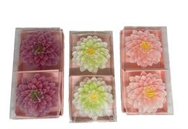 Kerzen Blumen 2er Set in Geschenkbox,  3 Farben assortiert - Weiss / Pink / Rosa