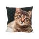 Kissen mit Katzen Motiv und Reisverschluss  Grösse: 40cmx40cm  Digitaldruck einseitig