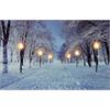 LED Bild aus Canvas  Motive: Winterlandschaft Allee  mit 6 LED  L:1.8cm B:60cm H:40cm