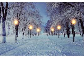 LED Bild aus Canvas  Motive: Winterlandschaft Allee  mit 6 LED  L:1.8cm B:60cm H:40cm