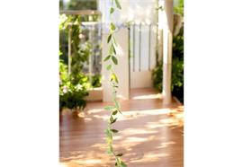 LED Lichterkette mit künstlichen Weidenblättern  L:300cm - 30 LEDs
