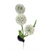 LED Solar Stecker  Pustenblume  mit 3 Schneeball Blüten  in Beige H60cm